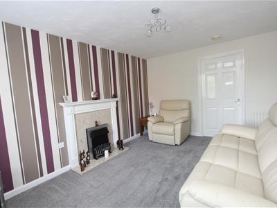Picture 13